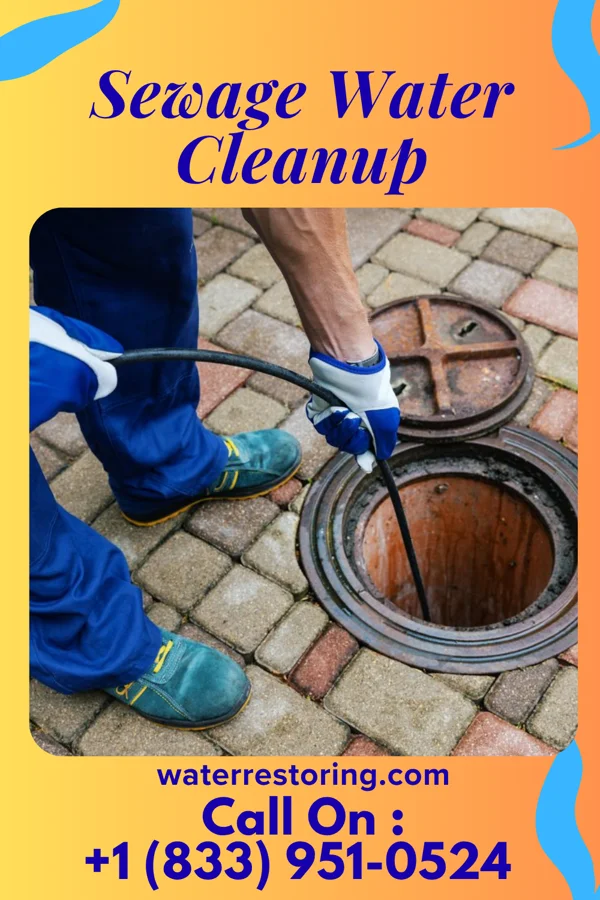 Sewage Water Cleanup in Inglenook, CT